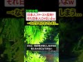 70代女性「日本人ファースト反対?それ日本人じゃないよ」→なぜか叩かれてしまう…