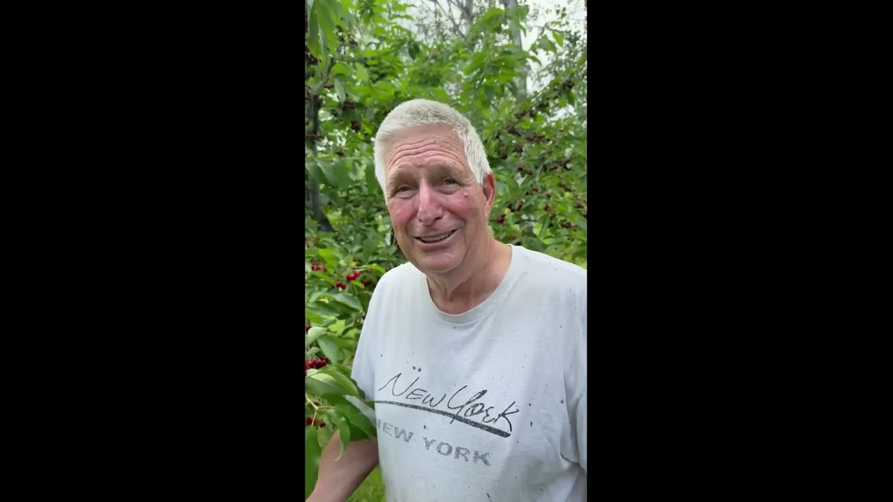 Encouragement for Today with Pastor Jim Schibsted 7 10 2025