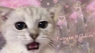 id future riddim