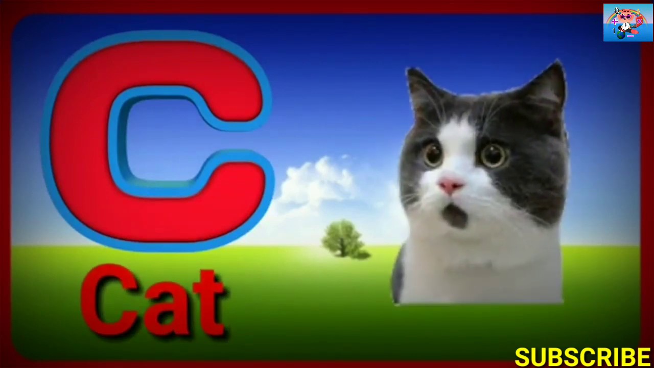 Abcd abcd phonics apple ball cat dog elephant fish gorilla hat