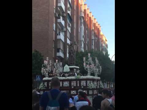 Humilde y Fervorosa Hermandad Sacramental y de Gloria de San José Obrero, San Francisco de Paula e Inmaculada Concepción y Cofradía de Nazarenos de Nuestro Padre Jesús de la Caridad y Nuestra Señora de los Dolores