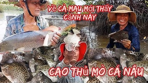 #376,#Về Cà Mau mới thấy cảnh này...tay không mò cá nâu siêu đỉnh..
