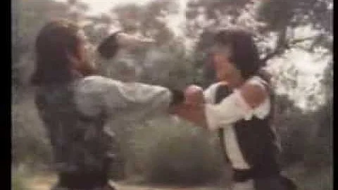 The World of Drunken Master