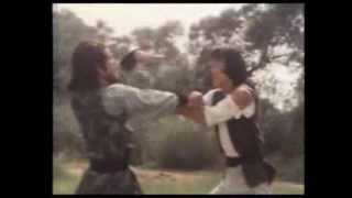 The World of Drunken Master