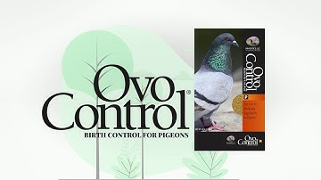 Pigeon Control: Safe and Humane Bird Control Solution [OvoControl]