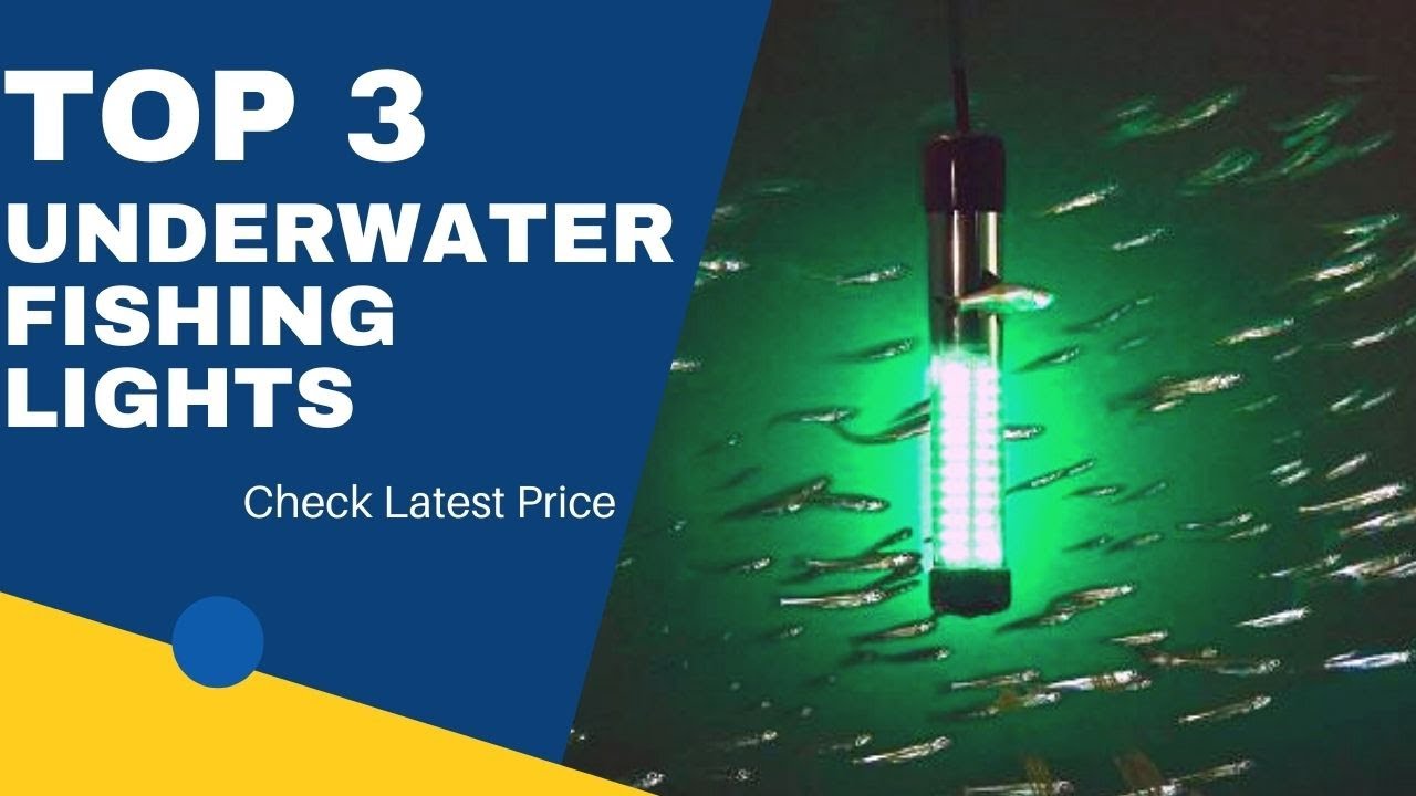 Top 3 Underwater Fishing Lights ( 3 best Underwater Fishing Light ) Underwater Fishing Lights