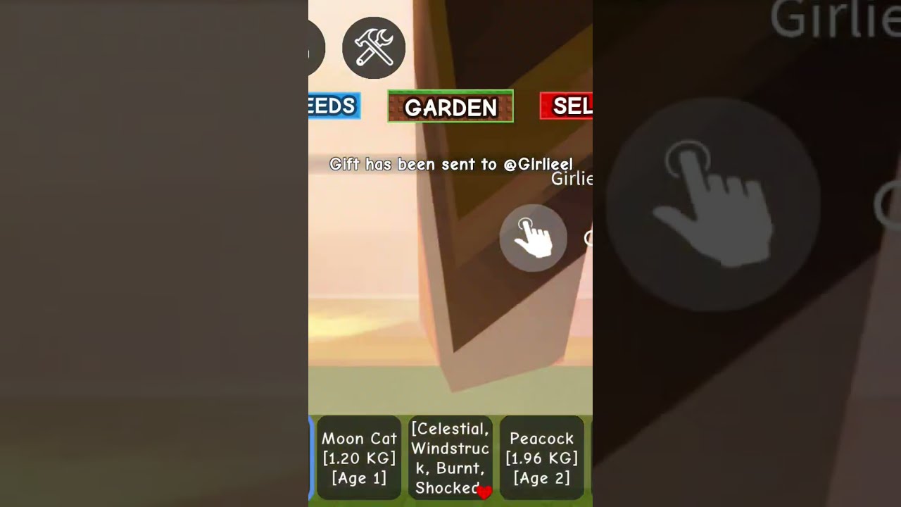 Giving This 5t Fruit To My Subscriber