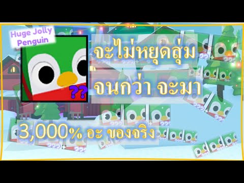 Pet Simulator X : สุ่มจนกว่าจะได้ และก็ได้มาถึง...ตัว !!!