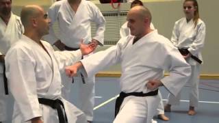 Milan Djokic 6 dan Fudokan Karate