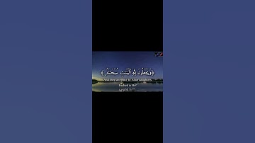 #القرآن_الكريم ﴿ القارئ الشيخ محمد اللحيدان﴾ ❤❣️❤📽️🎧 #اكسبلور