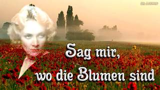 Video-Miniaturansicht von „Sag mir, wo die Blumen sind ☮ [Anti war song][+English translation]“