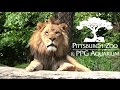 Pittsburgh Zoo Tour & Review with The Legend