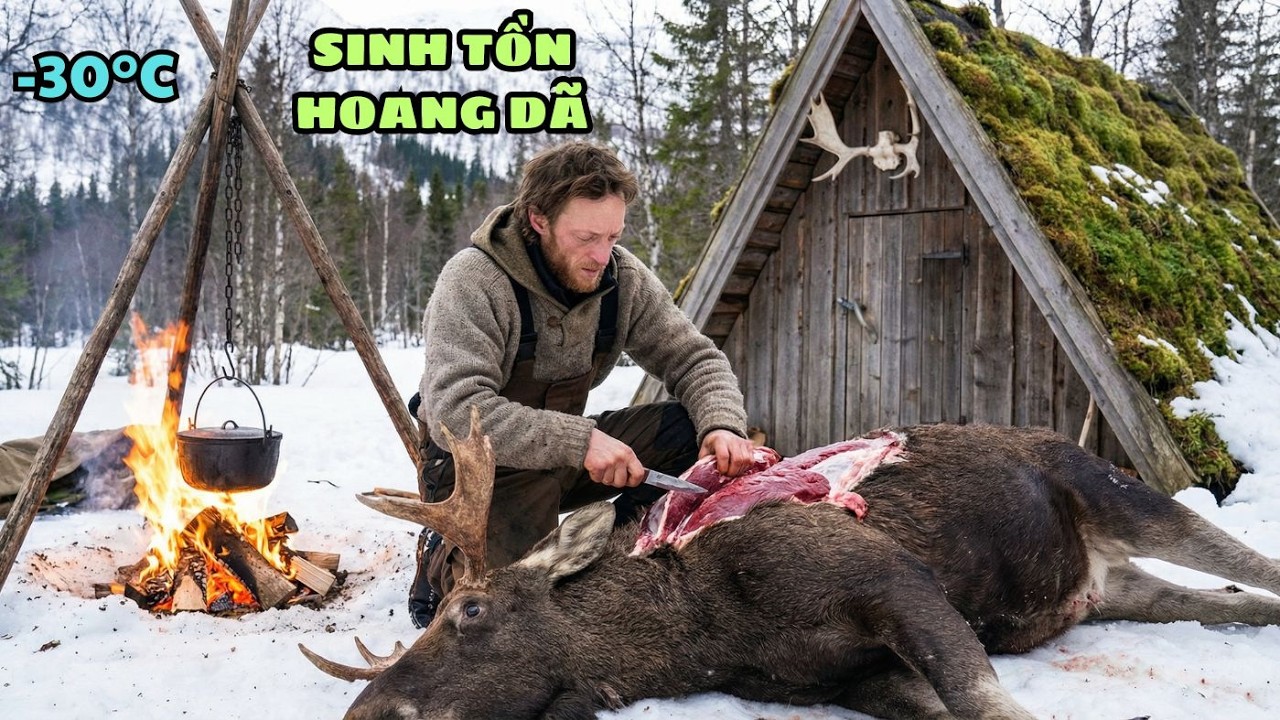 Sinh Tồn Một Mình Giữa Hoang Dã Bắc Cực – Sống Sót Đến Cuối Cùng Giành 1 Triệu Đô