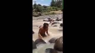 video lucu dicapit kepiting