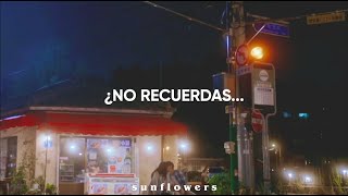 Celebrity Adele – Don't You Remember || Sub Español ~ Our Beloved Summer. Profile