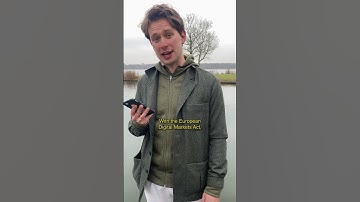 Flipchat - EU Digital Markets Act 2024