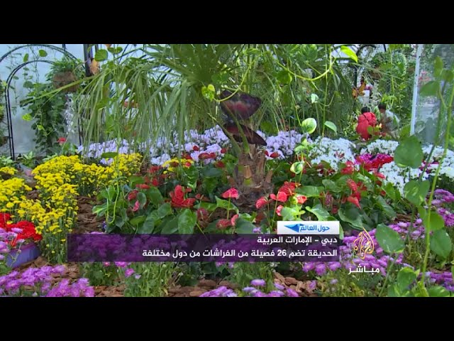 فقرة "حول العالم"