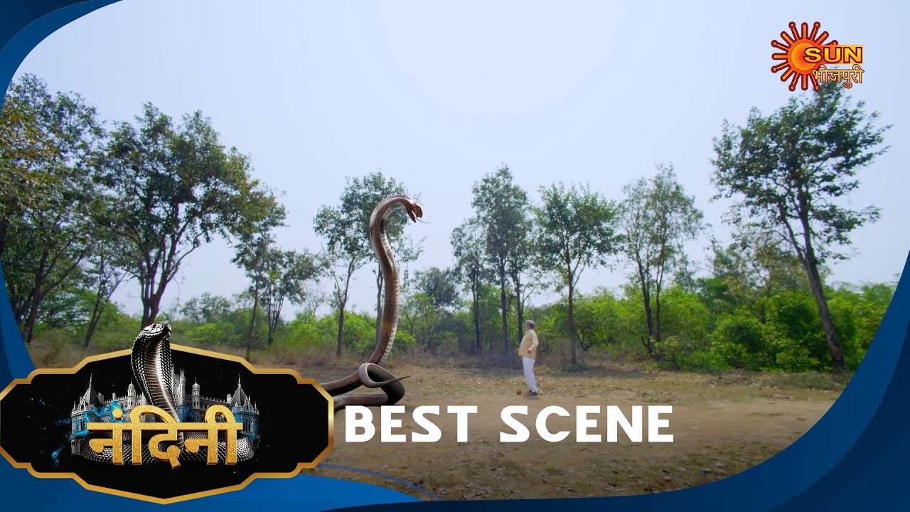 Nandini - Best Scene 369 | Bhojpuri Naagin show | Sun Bhojpuri | Bhojpuri Serial