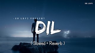 Dil - Lofi (Slowed + Reverb) | Raghav Chaitanya | SR Lofi