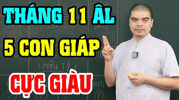 Cuối Năm Gặp May: 5 Con Giáp Càng Làm Càng Đẻ Ra Tiền, Trúng Liên Tiếp Tháng 11 Âm!