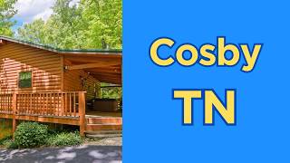 951 Emilyville Way video tour
