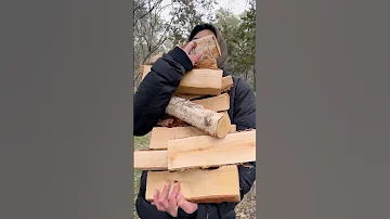 WATCH THIS! Emerald Ash Borer #invasivespecies
