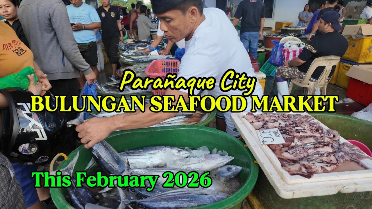 THIS February 2026 BULUNGAN SEAFOOD MARKET TOUR | FRESHEST CATCH & CHEAPEST PRICE PARAÑAQUE CITY