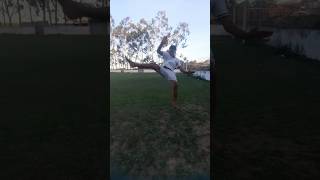 swaps hands for feet #capoeira #viral #shorts #fypシ #viralshorts #chutes #mma