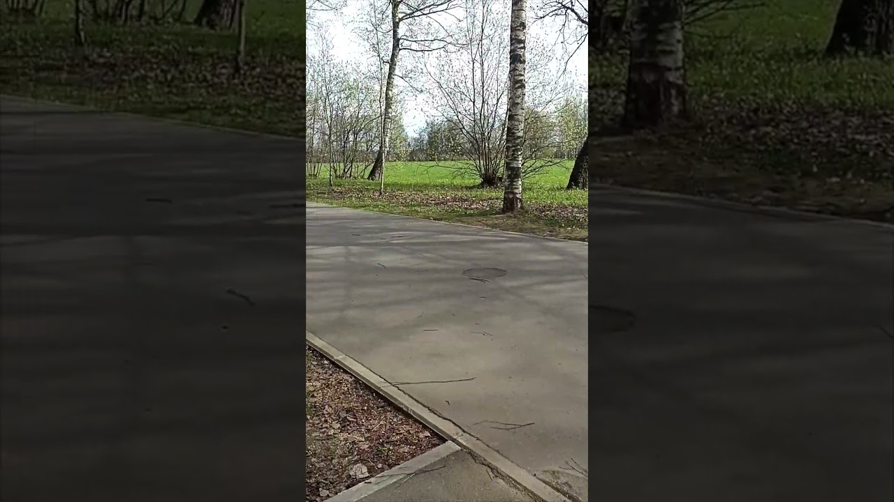 23 апреля 2024 года, МО. +8+10 градусов, зябко, без ветра, пасмурно. См. другие даты...