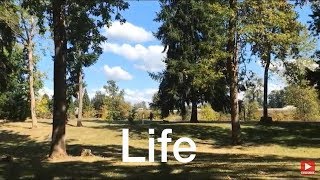 GODS Gift To Us ALL | TREES The Guardians Of LIFE
