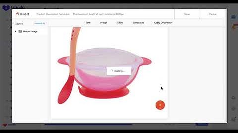 Lazada Lorikeet [BM]