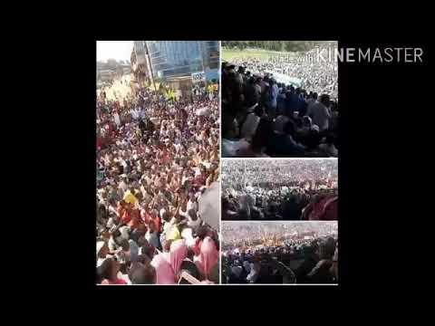 ቪዲዮ: ቱሪስት ማቃጠያ፡ በመምረጥ ረገድ እንዴት ስህተት መሥራት እንደማይቻል