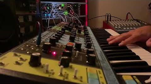 Moog Matriarch // Morphagene // Beads // Magneto