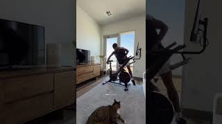 Cardio Without Leaving My Apartment 🚴‍♀️ | YESOUL G1M Bike #cyclingworkout #funcardio #yesoulfitness