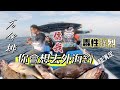 超好玩！外海釣魚應當如此！易釣密口唔洗守｜條條靚魚回本之選｜外海大蝦餌Go|香港釣魚#arto #香港釣魚 #啊濤