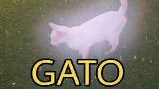 Shitposting Compilation V42