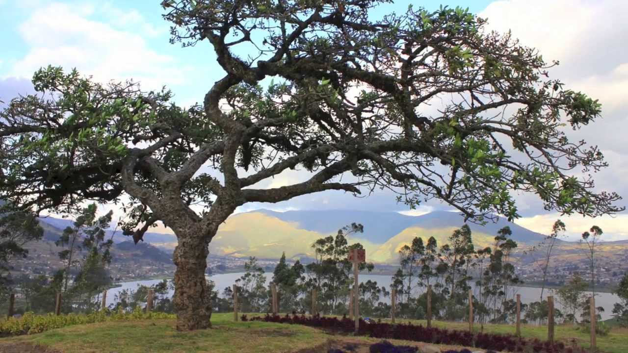 Otavalo and Cotacachi Ecuador Experience