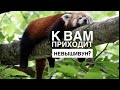 НЕВЫШИВУН ЧТО ЭТО ЗА ЗВЕРЬ ТАКОЙ/КОГДА ОН ПРИХОДИТ И КАК С НИМ БОРОТЬСЯ/ВЫШИВАЛЬНЫЙ ВЕЧЕР