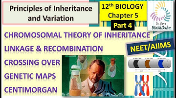 12TH BIO CH5 P4 || Chromosomal Theory of Inheritance || Linkage & Recombination || NEET || Hindi Eng