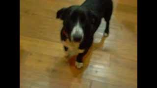 DSCF0366.AVI