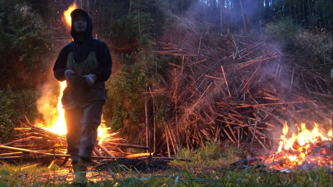 荒廃した孟宗竹林の整備2年目～雨の日は野焼きしながら枯竹を引きずり出す2023/05/06-01