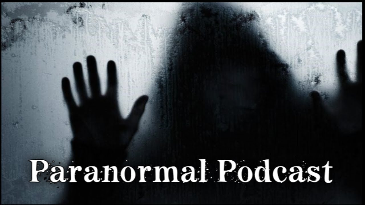 What did Deep Woods Paranormal Uncovered in Their Mysterious Absence ...