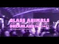 Glass Animals - dreamland tour diaries (UK & Ireland vol. 1)