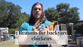 3 Reasons to Backyard Chicken Farm in 2022