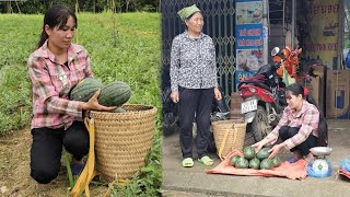 Single Woman  Harvesting watermelon  Going to the market with Grandma to sell