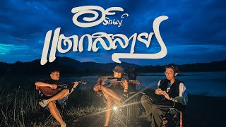 แตกสลาย - อริณญ์ ( Alin ) | live at อ่างเก็บน้ำคลองจำไหร