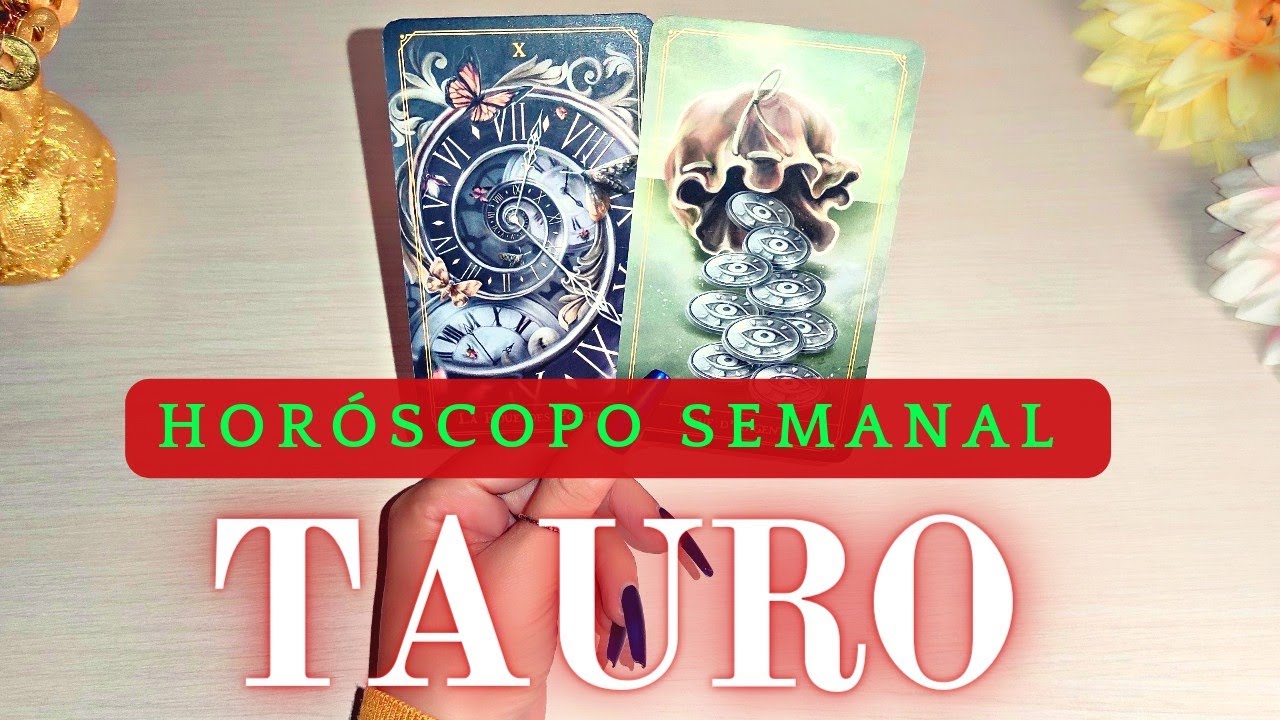 🥳 Tauro | ESTE ES EL COMIENZO DE UNA NUEVA VIDA #TAURO HOY NOVIEMBRE ...