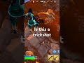 is it a trickshot?