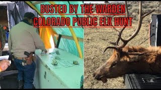 Colorado public OTC Elk hunt. Busted by the Law