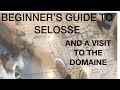 A Beginner's Guide To Champagne Jacques Selosse Style ( and A Visit To The Domaine)